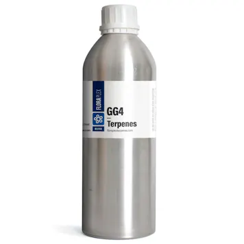 Photo of Original Glue (GG)